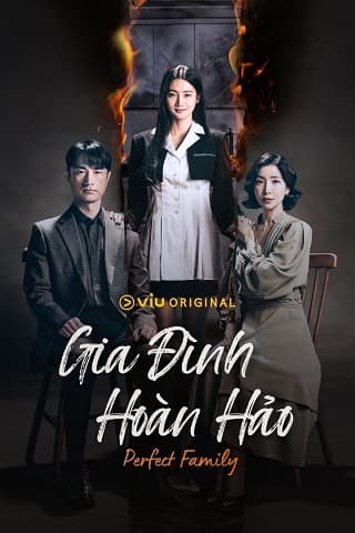 Poster phim Gia Đình Hoàn Hảo (Phần 1)