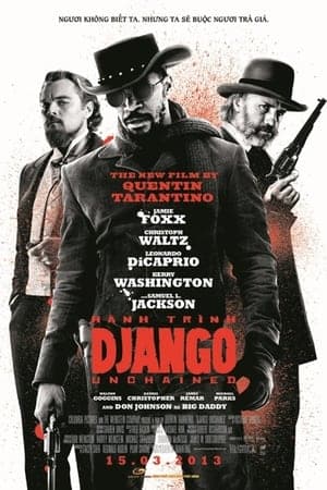 Poster phim Hành Trình Django