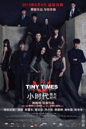 Poster phim Tiểu Thời Đại 2