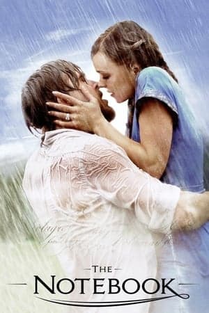 Poster phim Nhật Ký Tình Yêu