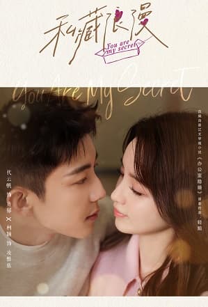 Poster phim Che Giấu Lãng Mạn
