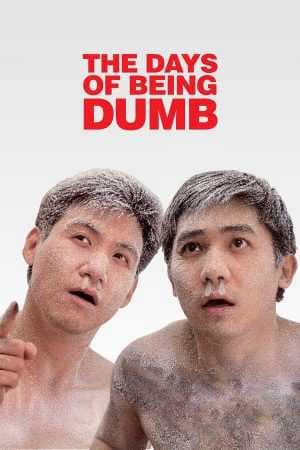 Poster phim A Phi Và A Kỳ