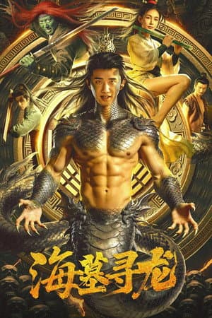 Poster phim Hải Mộ Tầm Long