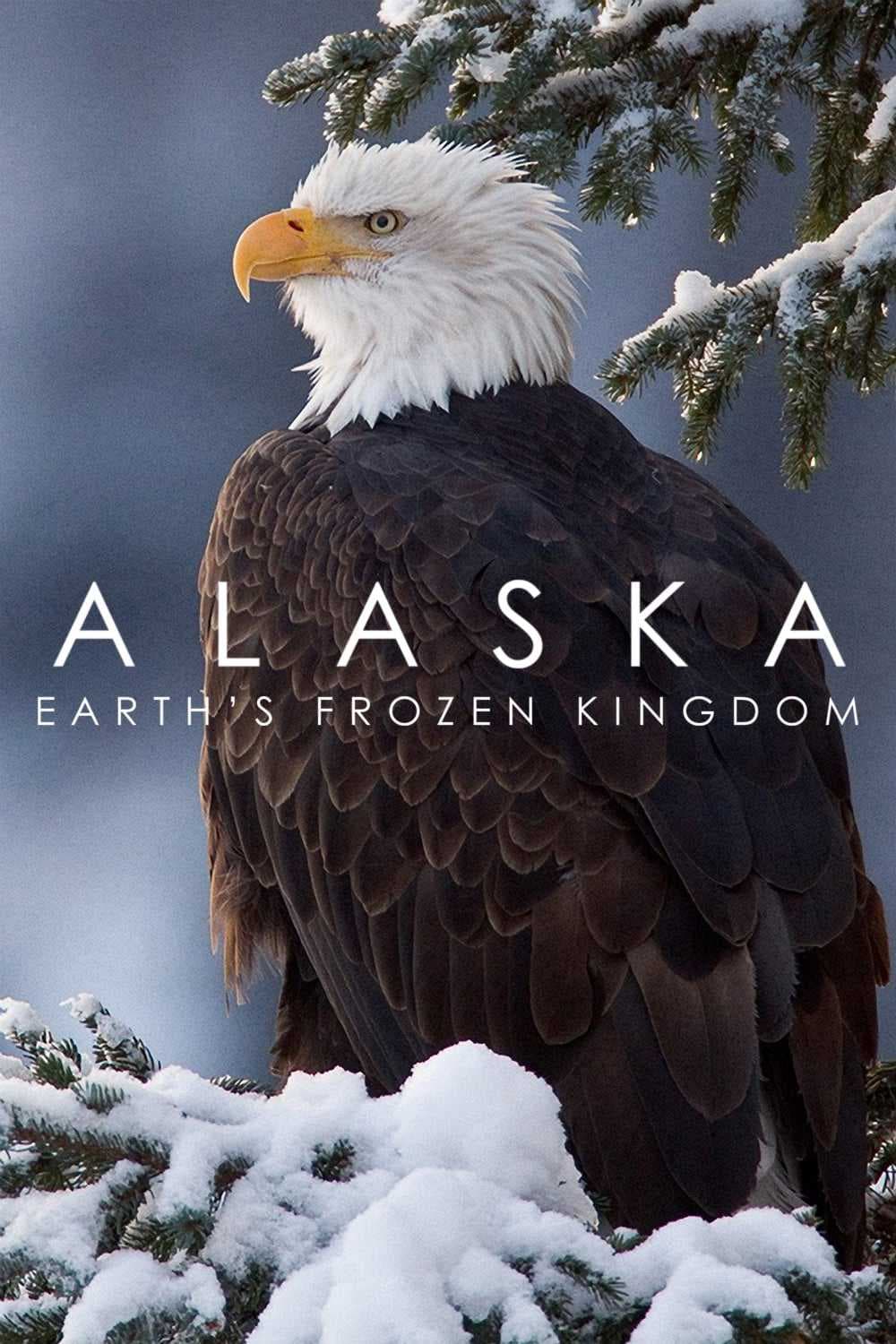 Poster phim Alaska: Vương Quốc Băng Giá